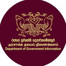 Department of Government Information